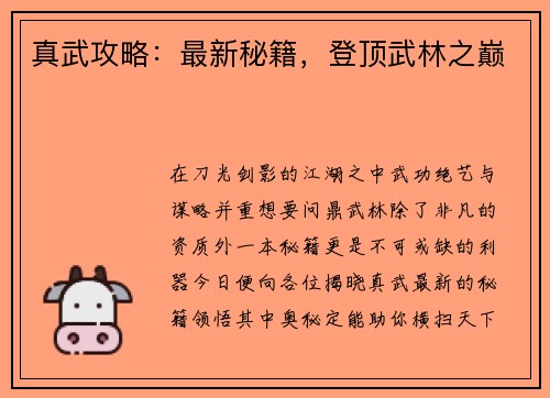 真武攻略：最新秘籍，登顶武林之巅